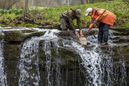 Andi Fitzgibbon, a water quality biologist with the U.S. Army Corps of Engineers Pittsburgh District, works alongside Jamie Detweiler, an aquatic biologist with the Pennsylvania Department of Environmental Protection, to collect water and...