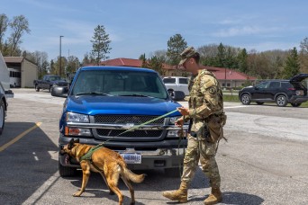 Canines and handlers learn tools for survival